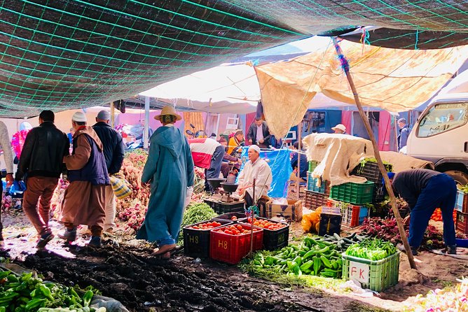 Marrakech Daytrip to Atlas Mountains & Berber Family Lunch & Optional Camel Ride - Private and Customizable Tour