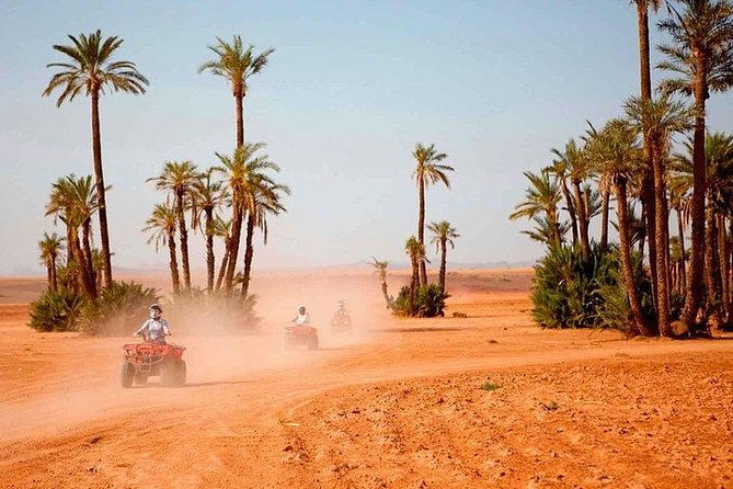 Marrakech Desert and Palm Grove Quad Bike Tour - Good To Know
