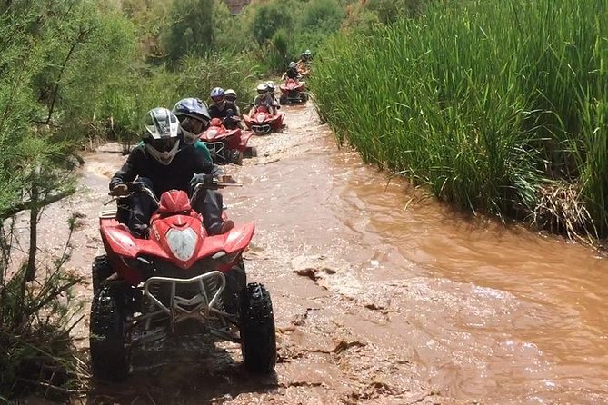 Marrakech Desert and Palm Grove Quad Bike Tour - Booking Details