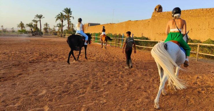Marrakech: Desert and Palmeraie Horse Riding Tour & Transfer - Experience Highlights