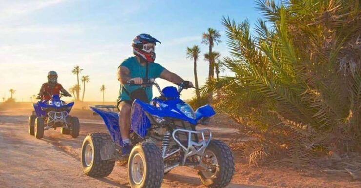 Marrakech: Desert and Palmeraie Quad Bike Tour With Transfer - Activity Details