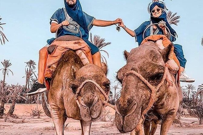Marrakech Desert Camel Ride - Exploring the Desert Palm Grove