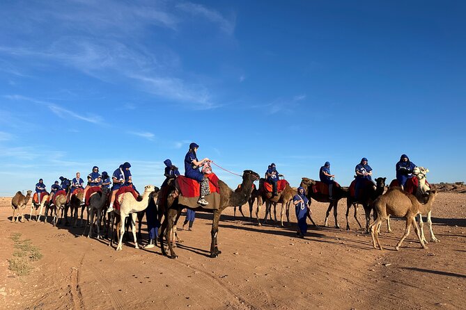 Marrakech: Desert & Palm Grove Package, Quad, Camel Ride & Dinner - Traveler Photos and Experiences