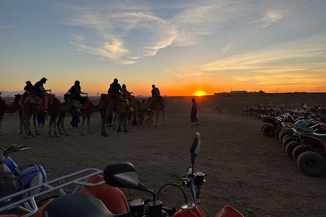 Marrakech: Desert & Palm Grove Package, Quad, Camel Ride & Dinner - Questions and Assistance