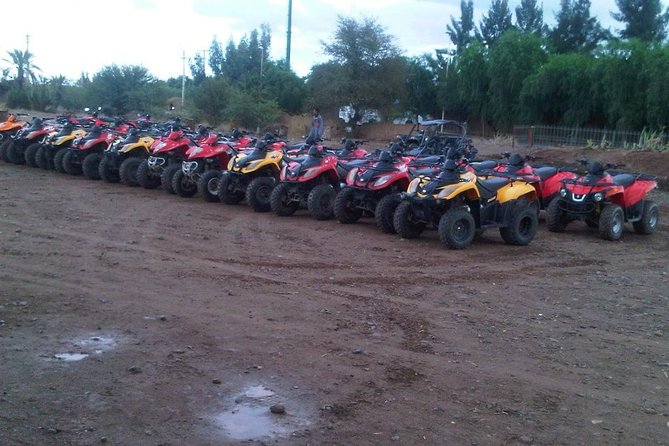 Marrakech Desert & Palm Grove Quad Bike Tour - Good To Know