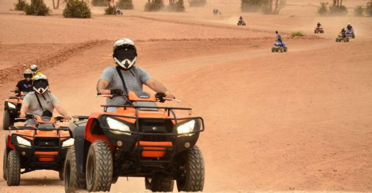 Marrakech Desert Quad Bike Tour - Experience Highlights and Inclusions