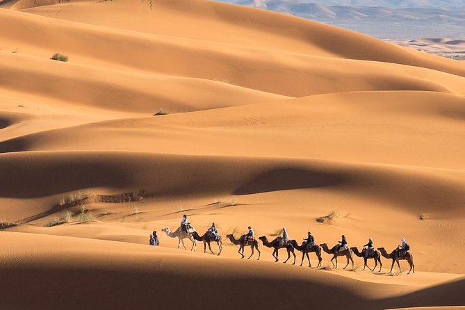 Marrakech Desert Trip Chigaga Dunes Riding Camel Sandboarding - Important Terms and Conditions
