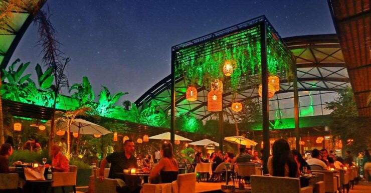 Marrakech : Dinner Show at Nouba Restaurant - Experience Highlights