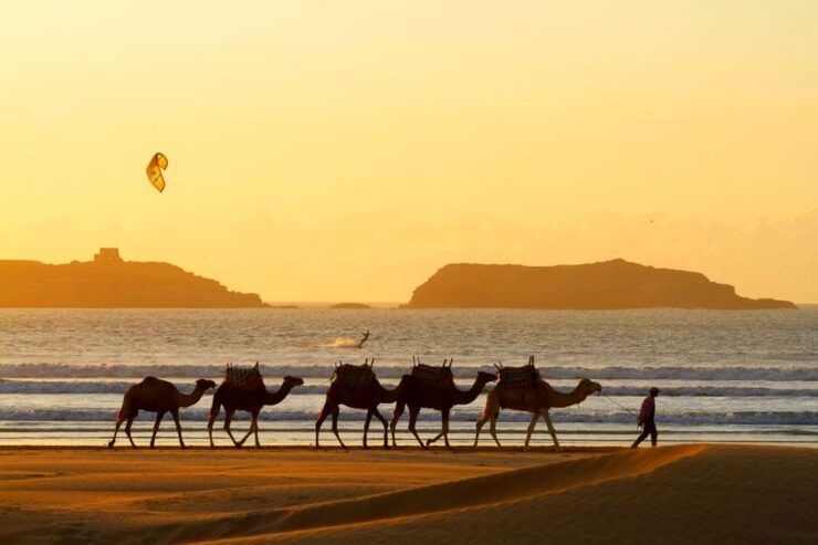 Marrakech: Essaouira Day Trip Jewel of the Atlantic - Activity Duration and Cancellation Policy