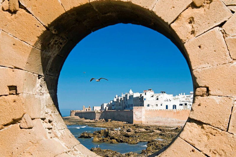 Marrakech Essaouira Day Trip: Small Group Guided Tour - Who should book this day trip?