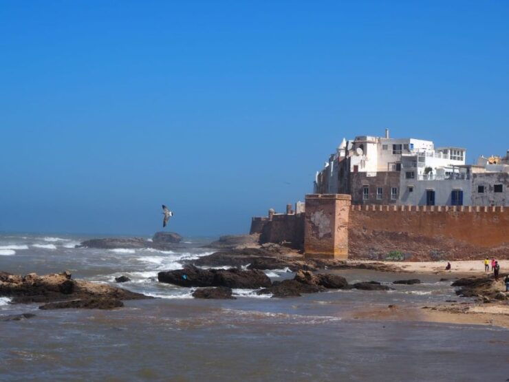 Marrakech: Essaouira Day Trip With Transfers and Co-Op Visit - Experience Highlights