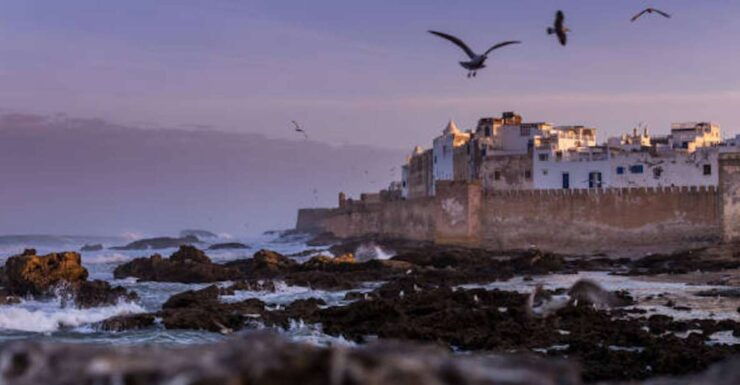 Marrakech: Essaouira Full-Day Trip - Reservation Details