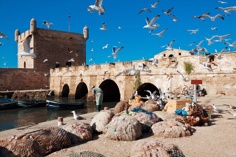 Marrakech Essaouira UNESCO Site Full-Day Tour - Seeing how argan oil is made