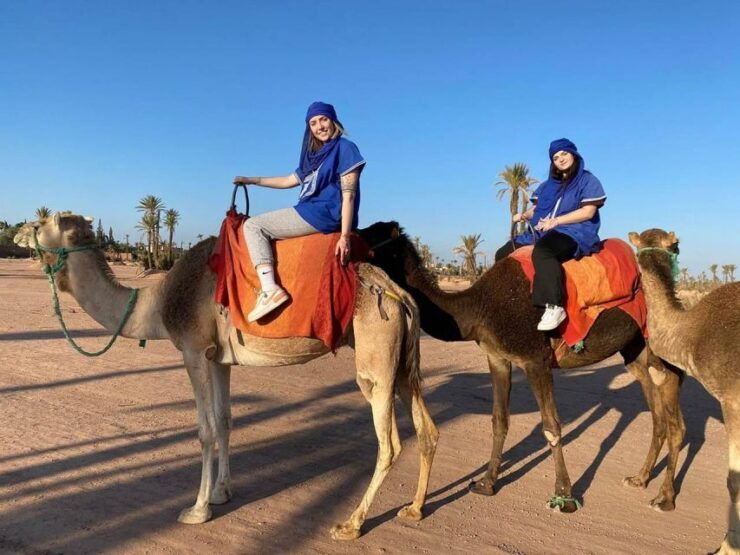 Marrakech : Exciting Camel Ride in Palmeraie - Booking Details and Flexibility