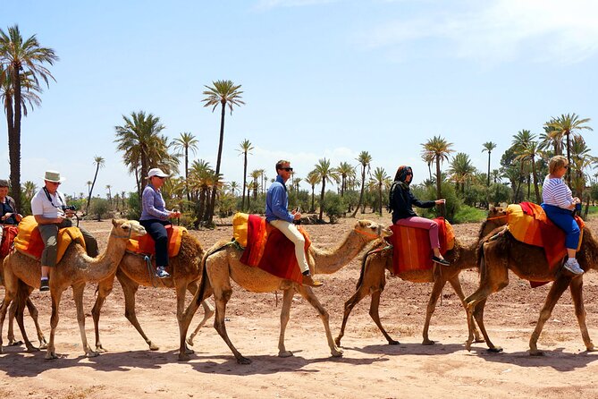 Marrakech Experience: PalmGrove Camel Ride Excursion - Good To Know