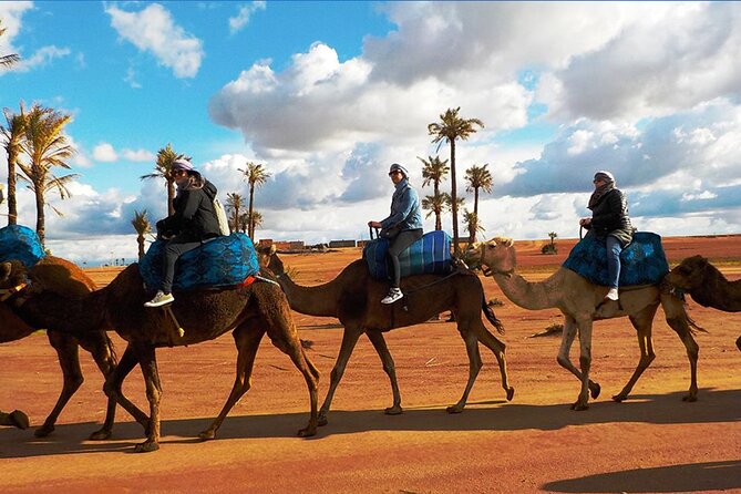 Marrakech Experience: PalmGrove Camel Ride Excursion - Cancellation Policy