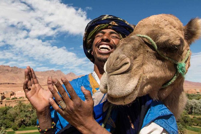 Marrakech Experience: PalmGrove Camel Ride Excursion - Good To Know