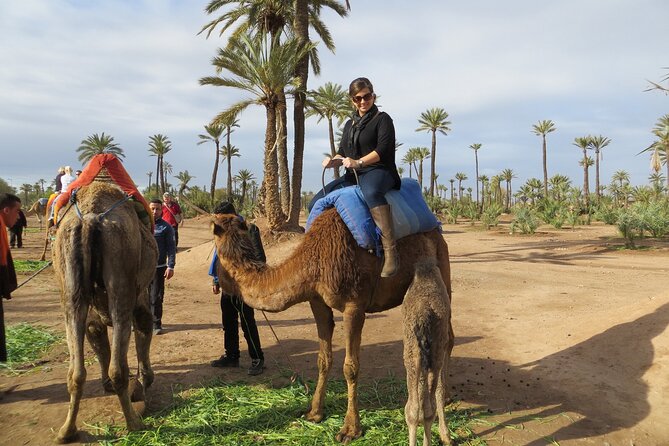 Marrakech Experience: PalmGrove Camel Ride Excursion - Additional Info