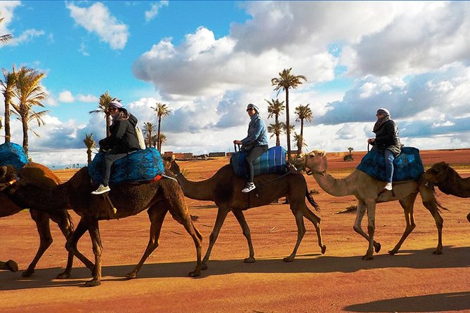 Marrakech Experience: PalmGrove Camel Ride Excursion - Highlights