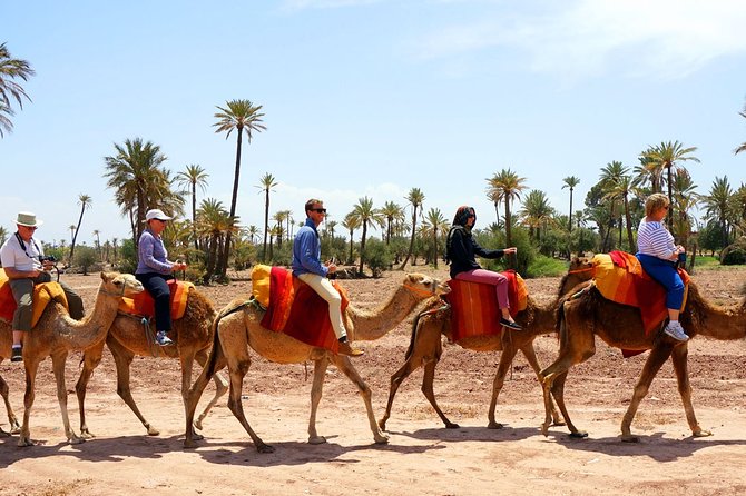Marrakech Experience: PalmGrove Camel Ride Excursion - Things to Bring