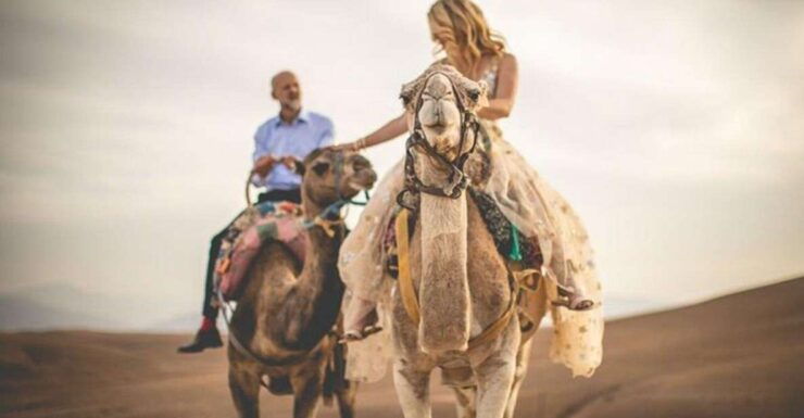 Marrakech : Full-day Agafay Desert and Atlas Mountain Tour - Tour Details