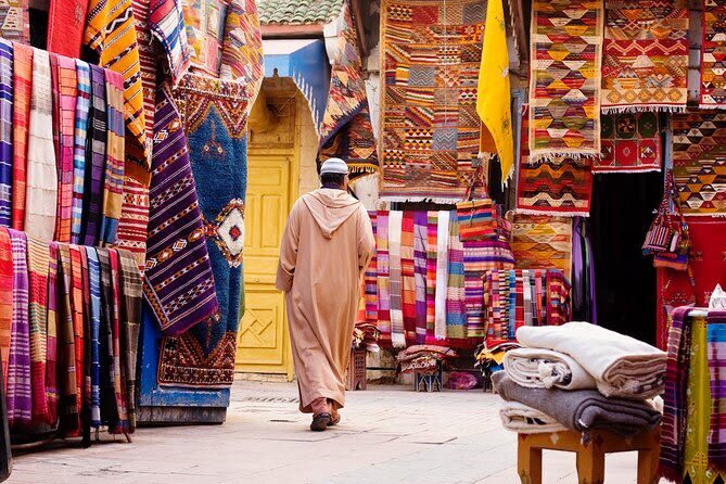 Marrakech Full Day Guided City Highlights Tour - Who should book this Marrakech tour?