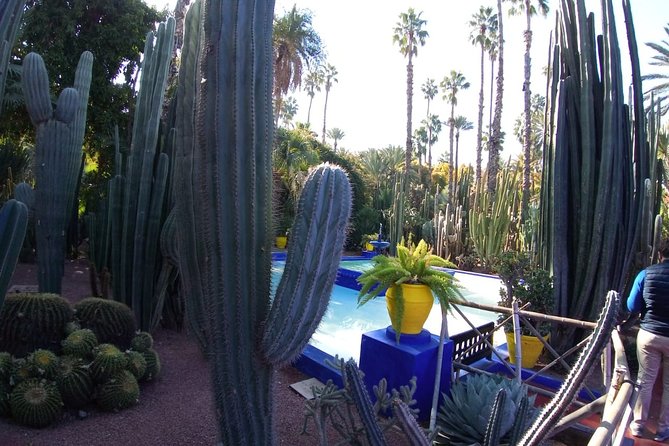 Marrakech Full Day Guided Tour - Tour Inclusions