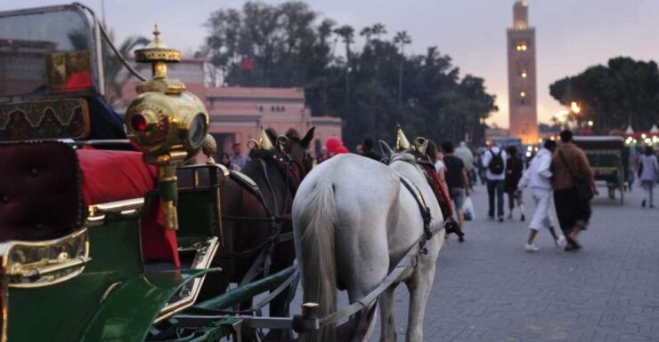 Marrakech Full-Day Guided Tour With Lunch - Tour Overview