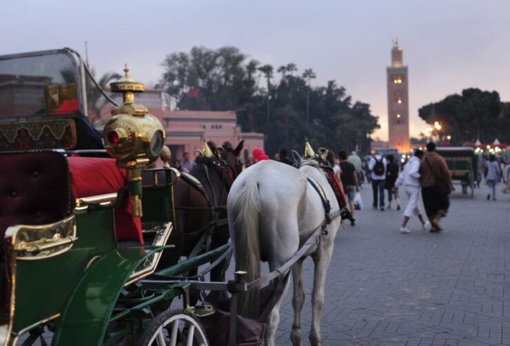 Marrakech Full-Day Guided Tour With Lunch - Tour Inclusions