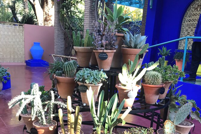 Marrakech Full Day Tour 3-In-1: Culture, Shop, Quad & Camel - Pricing