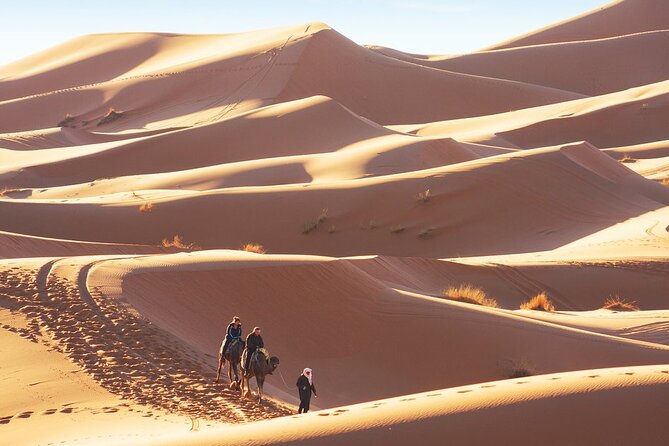 Marrakech, Grand Tour of the Desert & Essaouira - 8 Days - Additional Notes