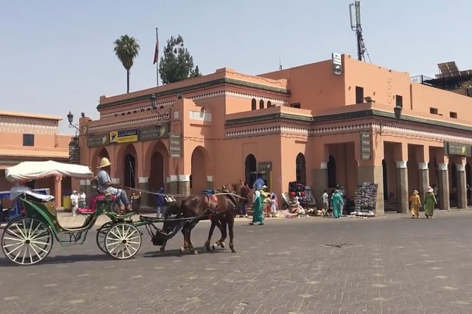 Marrakech Guided City Tour Full Day Guidevanlunch - Reviews