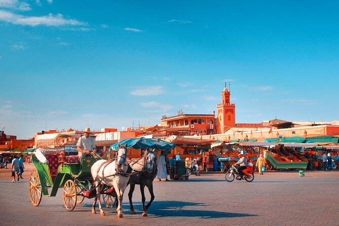 Marrakech Guided Day Trip From Taghazout - Frequently Asked Questions