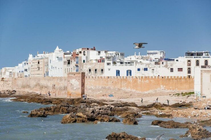 Marrakech: Guided Day Trip to Essaouira With Co-Op Visit - Activity Highlights