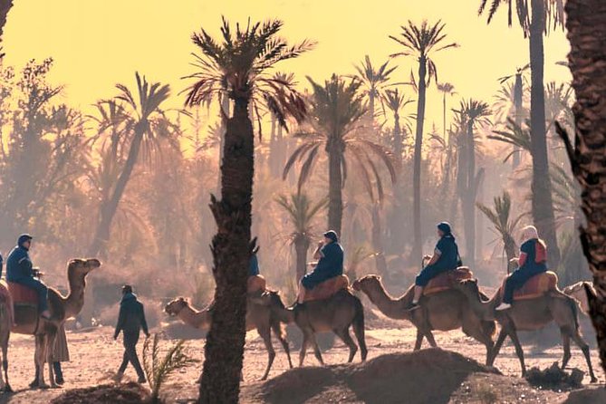 Marrakech Guided Tour From Casablanca With Camel Ride - Private Guide Included
