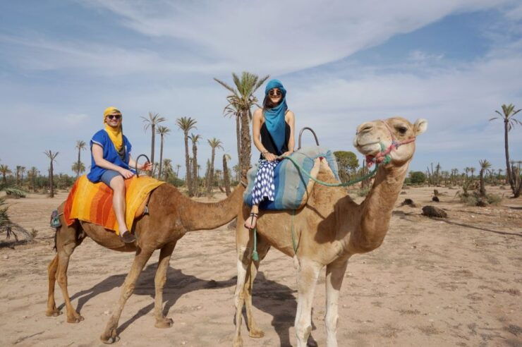 Marrakech: Half-Day Camel Ride in Palm Grove - Experience Details