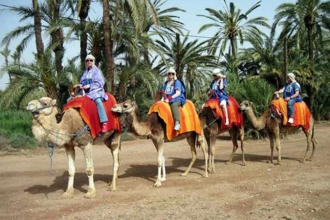 Marrakech Half-Day Camel Ride in Palm Grove - The Sum Up