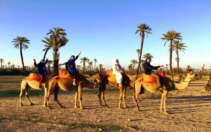 Marrakech: Half-day Dunes Trip With Buggy and Camel Ride - Booking Details and Flexibility