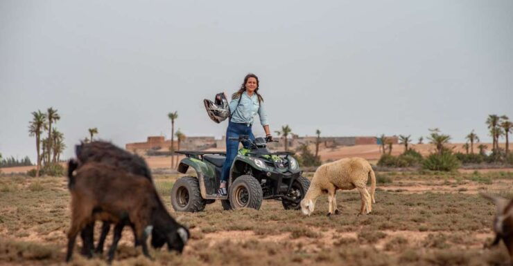 Marrakech: Half-Day Quad Bike Trip With Lunch & Hotel Pickup - Experience Highlights