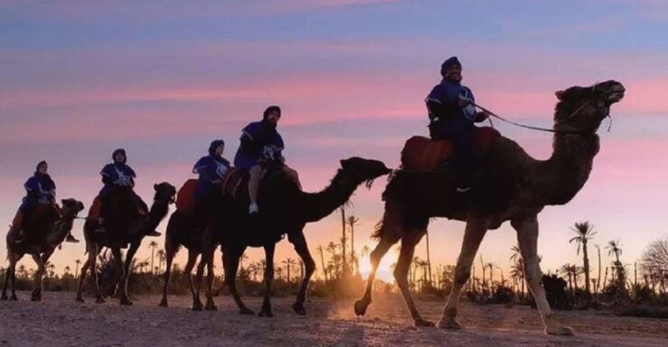 Marrakech Half Day Tour: Camel Ride And Quad Biking - Activity Details