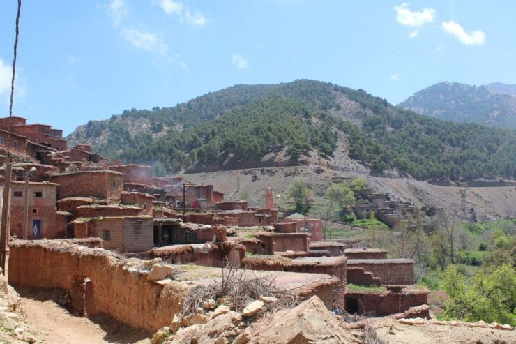 Marrakech: High Atlas Mountains and Agafay Desert Day Tour - Cultural Immersion and Experiences