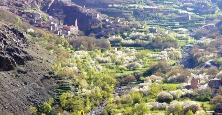 Marrakech: High Atlas Mountains, Valleys, & Waterfalls Tour - Experience Highlights