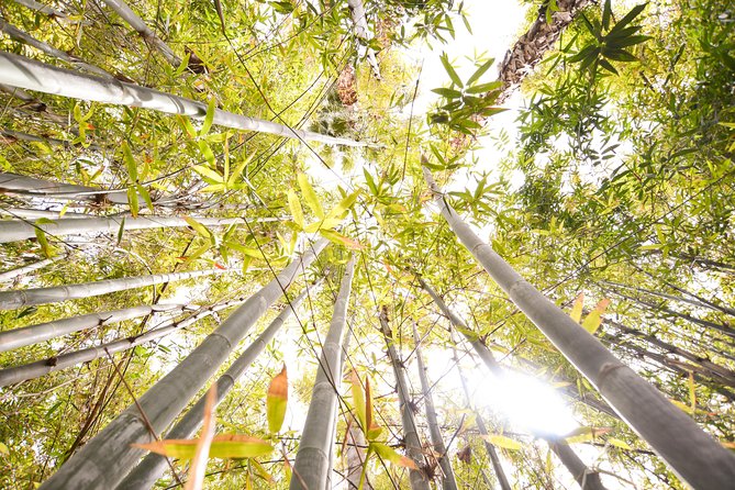 Marrakech Highlights: Guided Day Tour - Good To Know