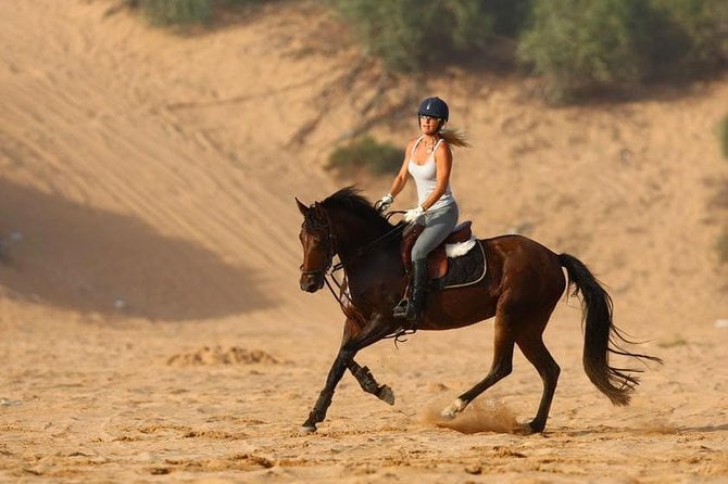 Marrakech Horse Riding - Activity Details