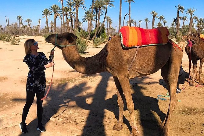 Marrakech Luxery Sunset Camel Ride - Sunset Camel Riding Experience