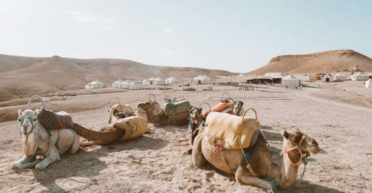 Marrakech: Magical Agafay Desert & Sunset Camel Ride! - Detailed Itinerary for Sunset Experience