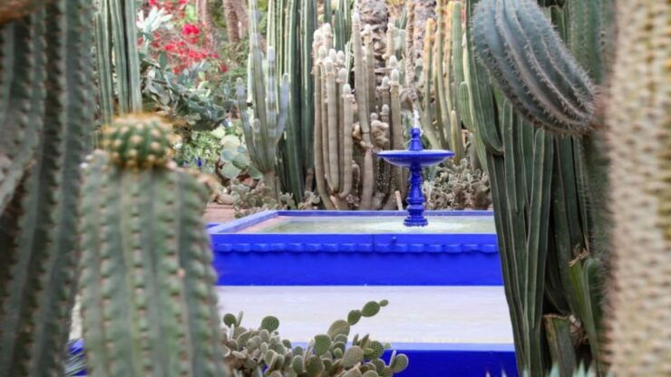 Marrakech: Majorelle Garden Tour With Palmeraie Camel Ride - Ticket Details