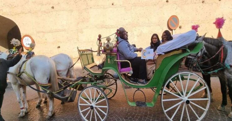 Marrakech: Majorelle & Menara Gardens Tour & Carriage Ride - Experience Highlights