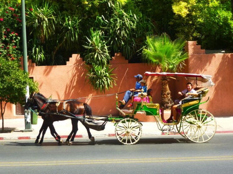 Marrakech: Majorelle & Menara Gardens Tour & Carriage Ride - Activity Details