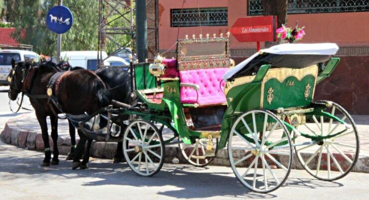 Marrakech: Majorelle & Menara Gardens Tour & Carriage Ride - Activity Details